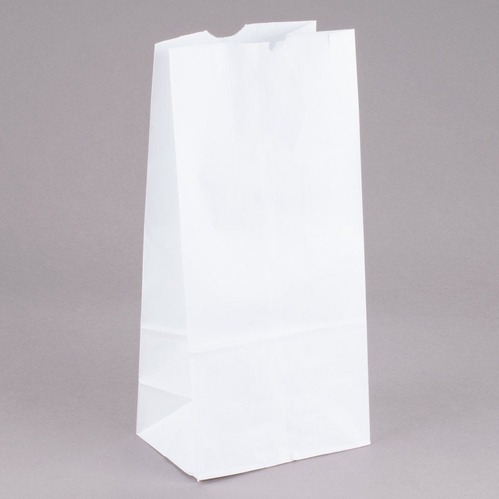 DURO PAPER BAGS WHITE 10LB (500 CT) #51030