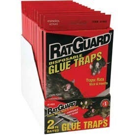 RAT GLUE TRAP 2 CT 12/CASE