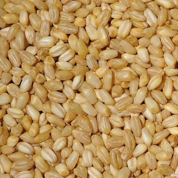 SUNNYLAND WHOLE WHEAT PEARLED ND 50 LB 1/CASE.