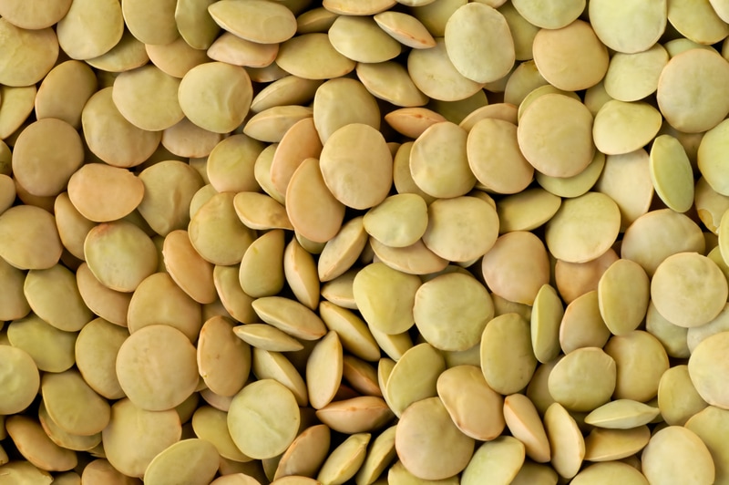 LENTIL (LAIRD) GREEN LARGE RL 50 LB