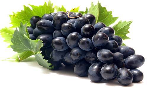 Grapes, Black