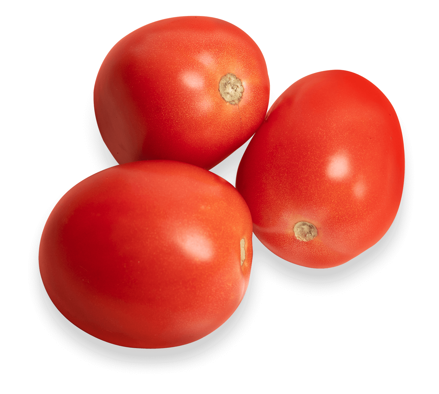 Tomatoes, Roma