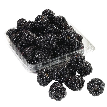 Blackberry 