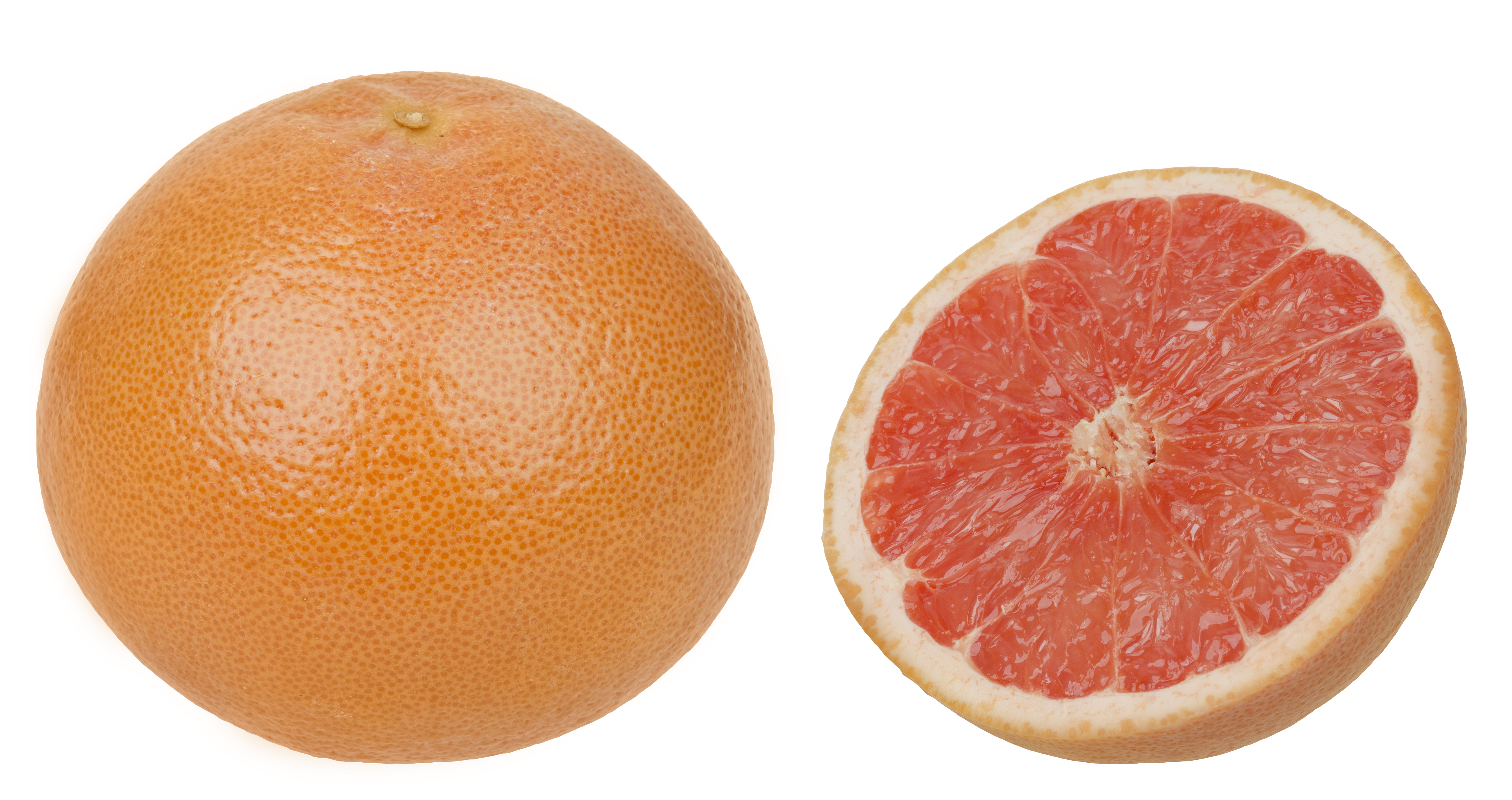Grapefruit, L