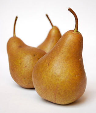 Pears, Bosc