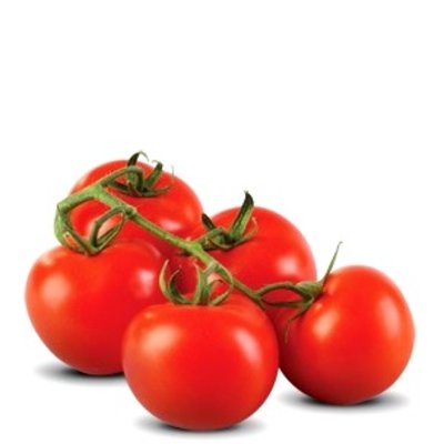 Tomatoes, Vine #1