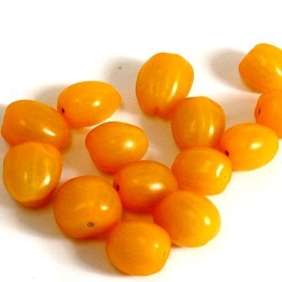 MAGGI VEGETABLE BOULLION 24 PK 24/CASE