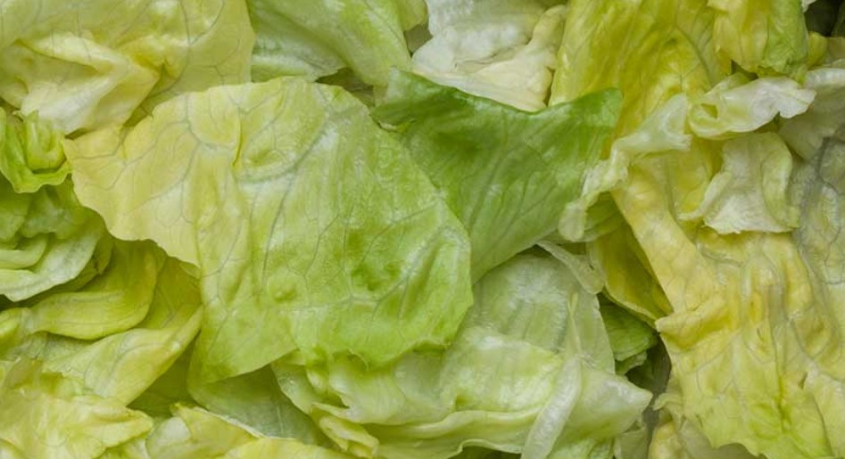 Lettuce, Chopped