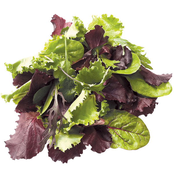 Spring Mix 3lb