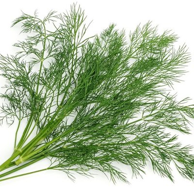 Dill