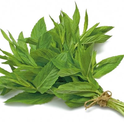 Mint