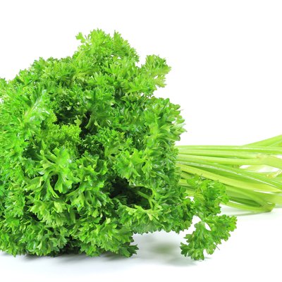 Curly Parsley
