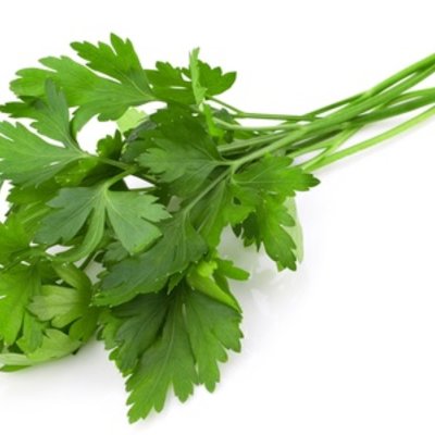 Plain Parsley
