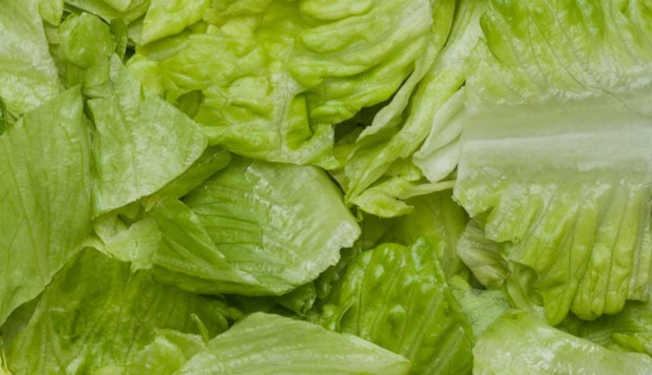 Sage 1lb