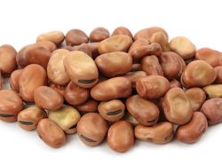SHAHIA FAVA BEANS WHOLE 50LB